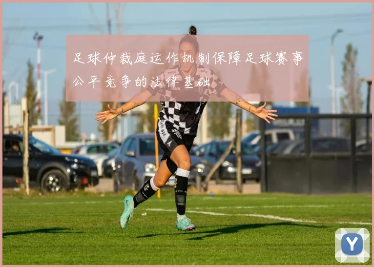 足球仲裁庭运作机制保障足球赛事公平竞争的法律基础