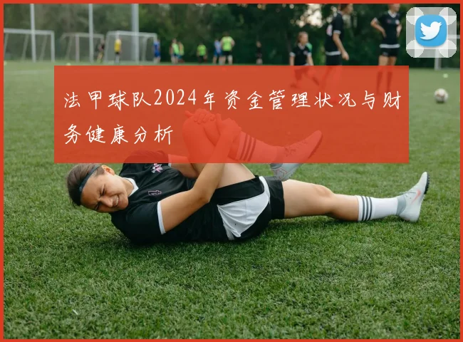 法甲球队2024年资金管理状况与财务健康分析