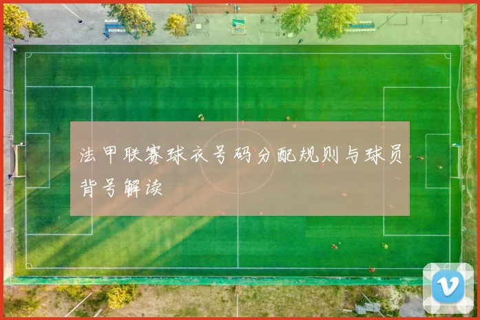 法甲联赛球衣号码分配规则与球员背号解读
