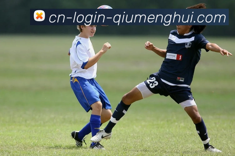 球盟会服务体系